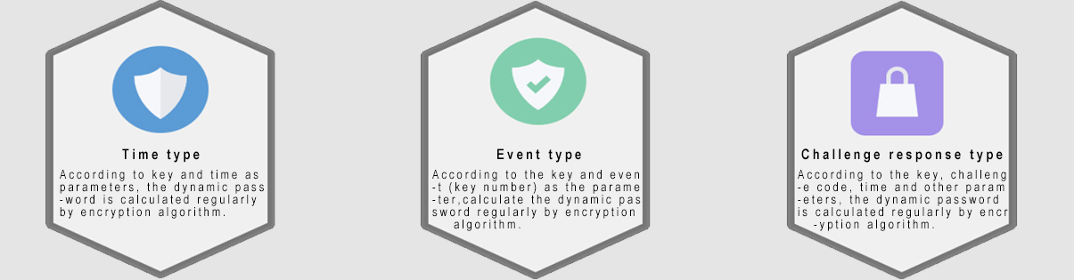 Dynamic password type